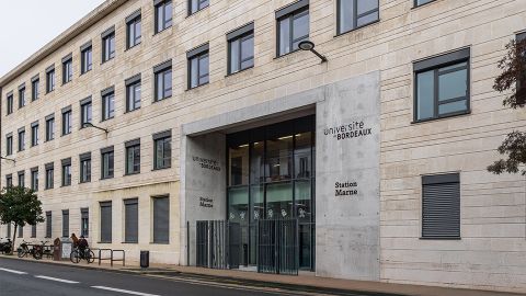 Texte alternatif de l'image