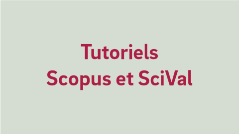 Texte alternatif de l'image