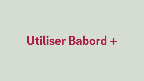 Texte alternatif de l'image