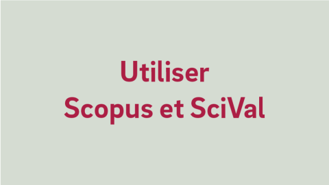 Texte alternatif de l'image