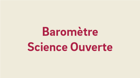 Texte alternatif de l'image