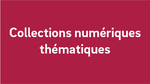 Texte alternatif de l'image