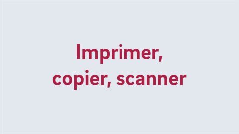 Texte alternatif de l'image