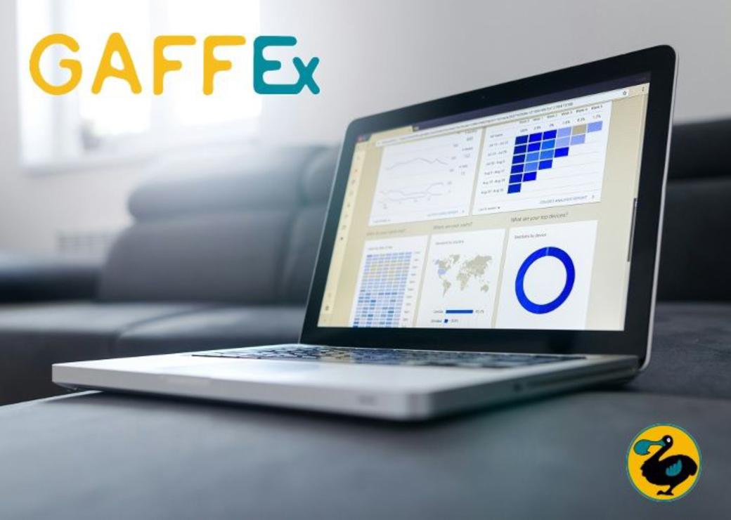 Webinaire Gaffex © lukas-blazek