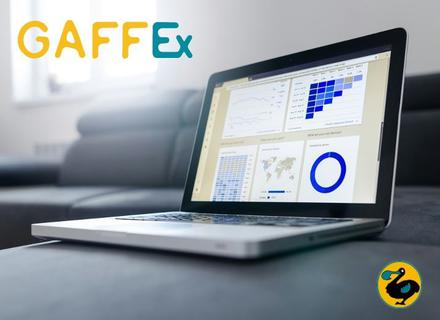 Webinaire Gaffex © lukas-blazek